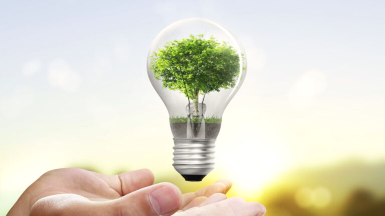 Día Mundial del Ahorro de Energía: conciencia en el consumo energético