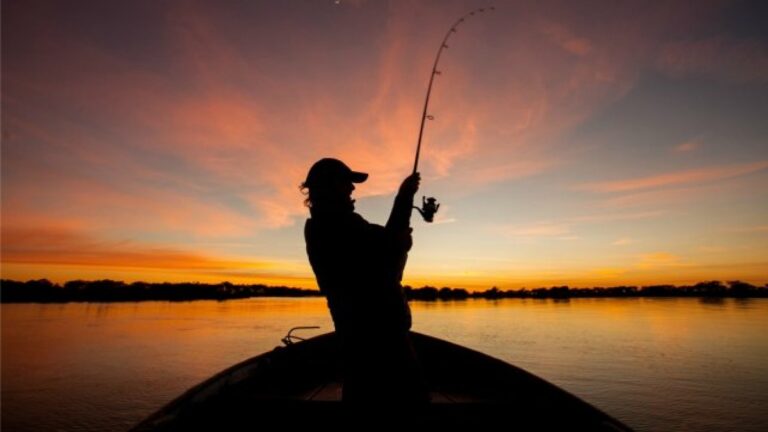 Hasta el 15 de enero rige la veda total de pesca en la provincia
