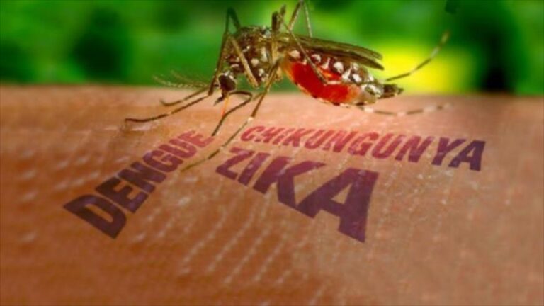 Juntos prevengamos el Zika, Dengue y Chikungunya