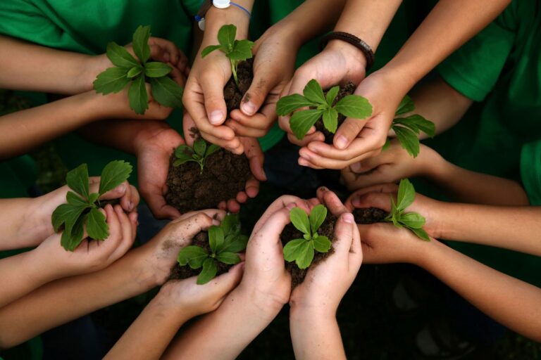 26 de Enero: Día de la Educación Ambiental