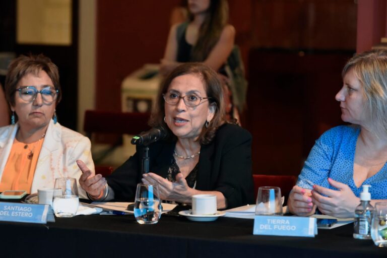 La ministra de Salud participa de la primera reunión presencial del Consejo Federal de Salud 2023