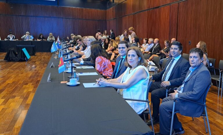 La ministra de salud participó en una reunión entre el Consejo Federal de Salud y el Consejo Federal de Ciencia y Tecnología