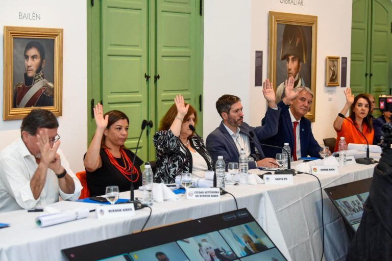El Consejo Federal de Educación ratificó su compromiso por promover la enseñanza sobre la Democracia Argentina