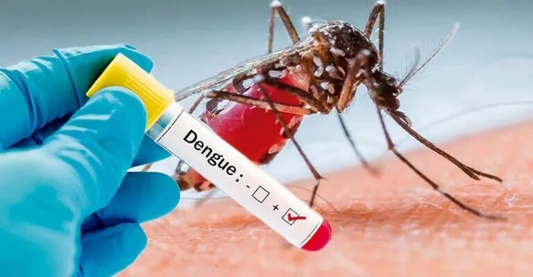 Acceso rápido y seguro a resultados de dengue y COVID