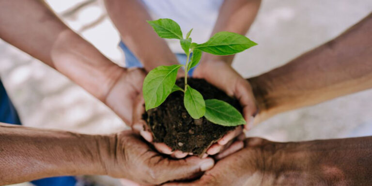 Día Nacional de la Conciencia Ambiental