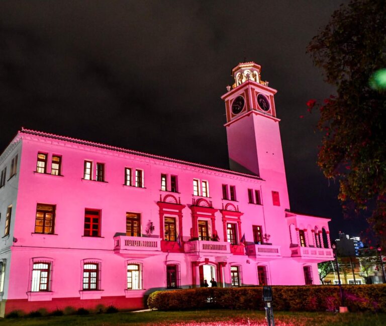 Por el Día Internacional de la Lucha Contra el cáncer de mama la Casa de Gobierno se iluminó de rosa