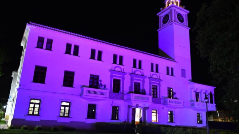 Casa de Gobierno se iluminó en el Día Internacional de la Mujer