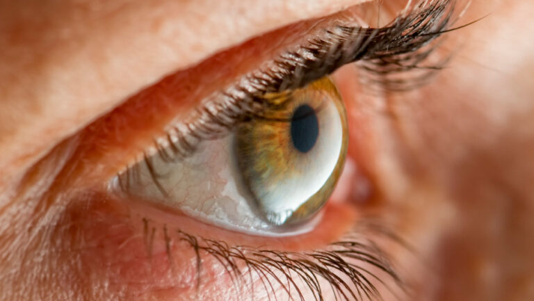 El Hospital Oftalmológico “Enrique Demaría” será escenario de controles gratuitos para la detección de glaucoma