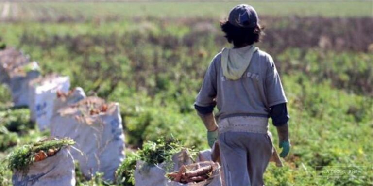 Este 12 de junio se conmemora el Día internacional contra el trabajo infantil