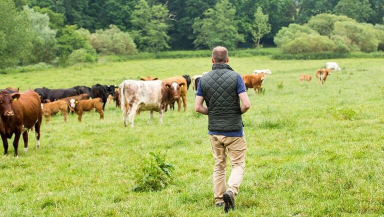 6 de agosto: Día del Veterinario y del Ingeniero Agrónomo