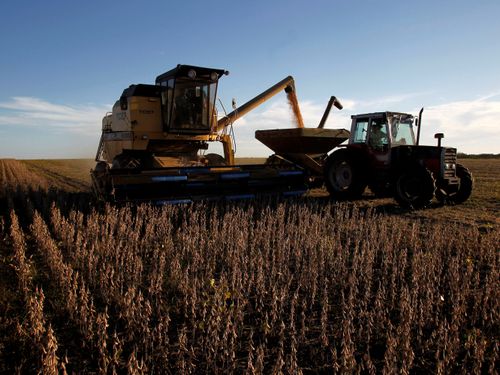 Cada 8 de septiembre se celebra el Día del Agricultor y Productor Agrario