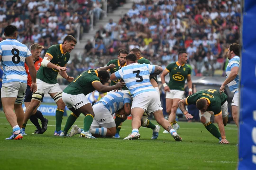 Los Pumas dieron el batacazo y vencieron a Sudáfrica en Santiago del Estero