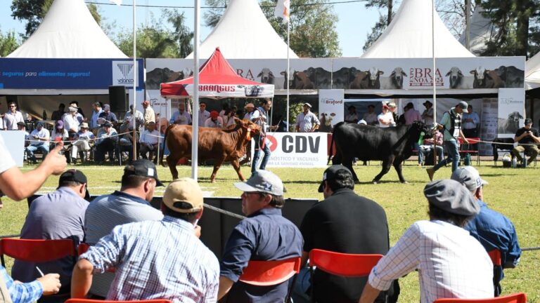 Comenzó la 17° edición de la ExpoBra en el vivero San Carlos