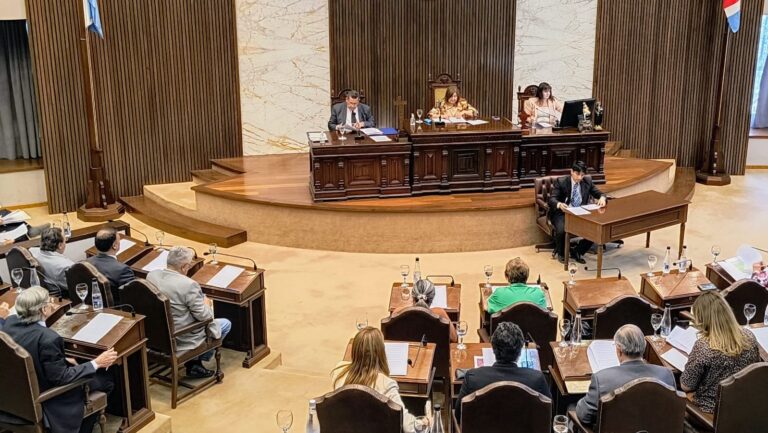 Diputados: declaran de interés los actos que se realizarán por el Día de la Lealtad Peronista