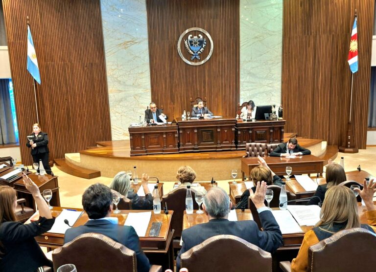 Enérgico respaldo en diputados al mensaje del gobernador Zamora destacando su “compromiso de unidad provincial”