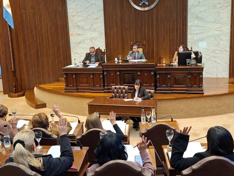 Legislatura: Destacan la inversión en Educación, Salud, viviendas y el fuerte impacto económico positivo que dejó la final Platense-Huracán