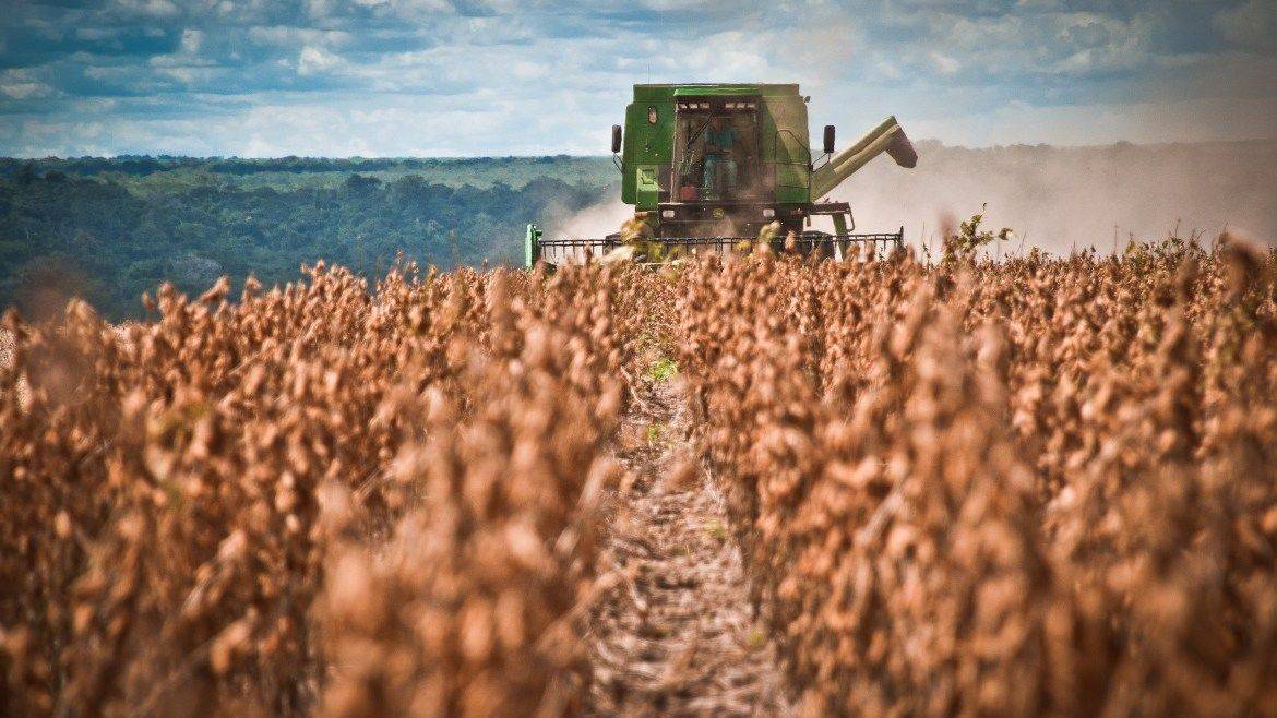El Gobierno de Santiago del Estero exime del pago de Ingresos Brutos al sector agropecuario por seis meses