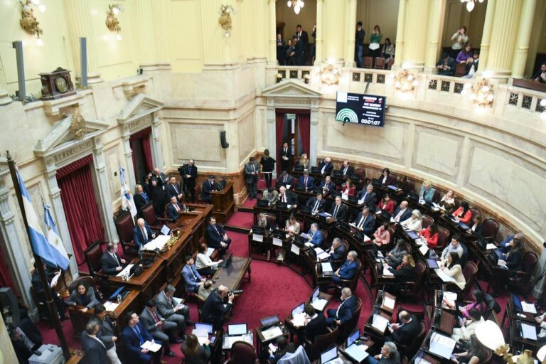La Senadora Claudia Zamora participó de la sesión en la que el Senado aprobó la modificación del régimen legal de los decretos presidenciales e insistió en la ley que declara la emergencia en discapacidad