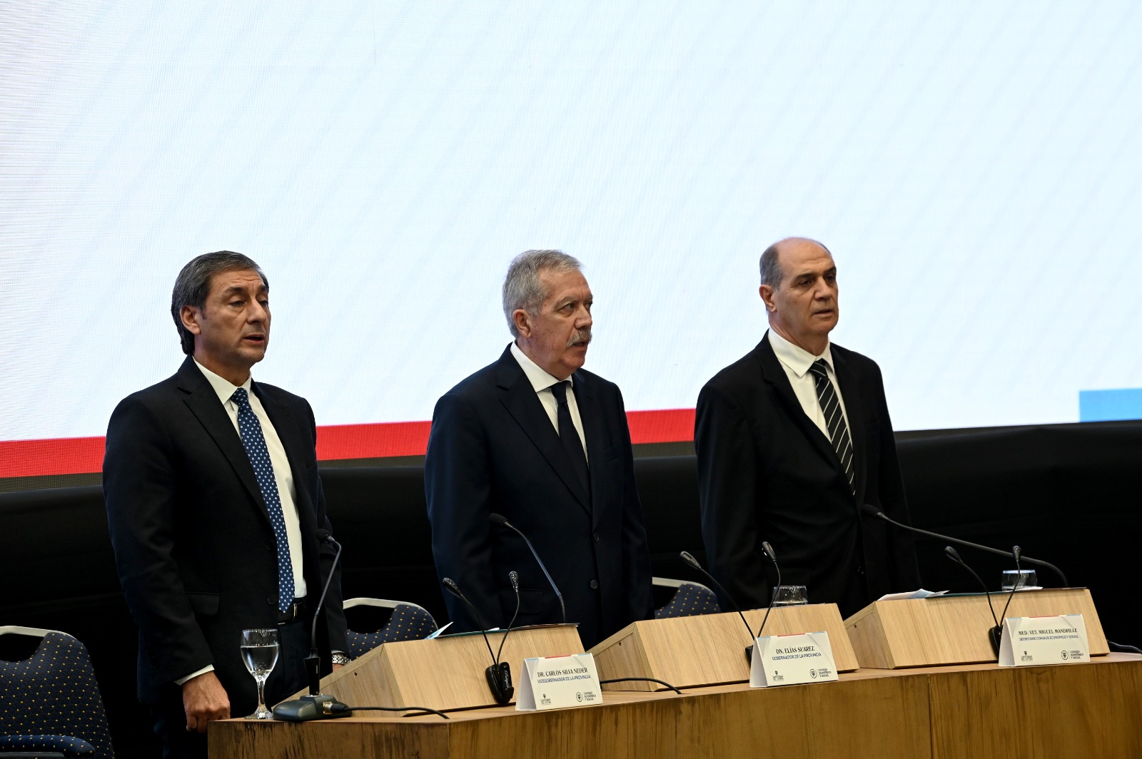 “El Consejo Económico y Social es una herramienta importante para potenciar el desarrollo sostenible y la paz social mediante el diálogo”