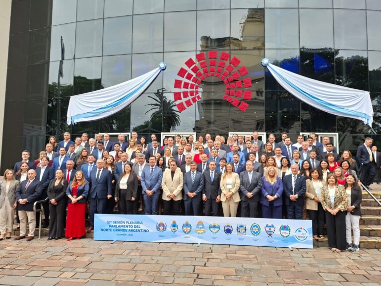 Silva Neder: “reclamamos federalismo real para que haya igualdad real”