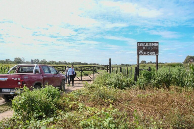 Fuerte operativo del Gobierno provincial para proteger tierras fiscales y bosques nativos