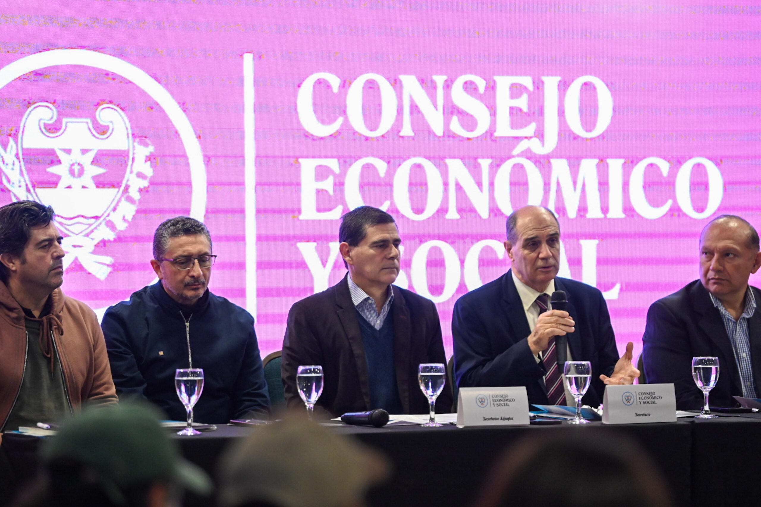 El Consejo Económico y Social de la Provincia se reunió con el sector de la agricultura familiar y la economía social