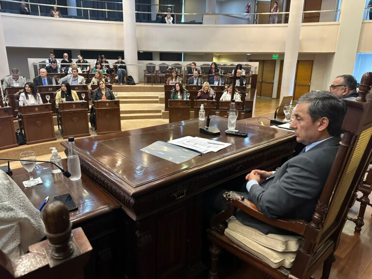 La Legislartura Provincial respaldó el plan estratégico y de infraestructura anunciado por el Gobernador Elías Suárez
